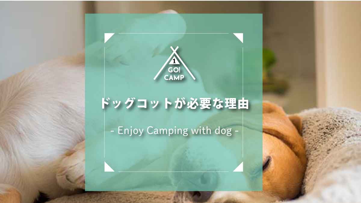 キャンプにオススメ！愛犬用折り畳みベッド(ドッグコット)、乗ら