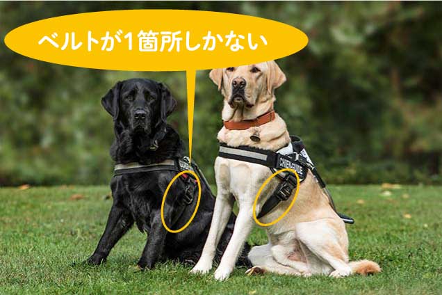 ラフウェアのフラッグラインハーネス】口コミをブログでご紹介。撥水