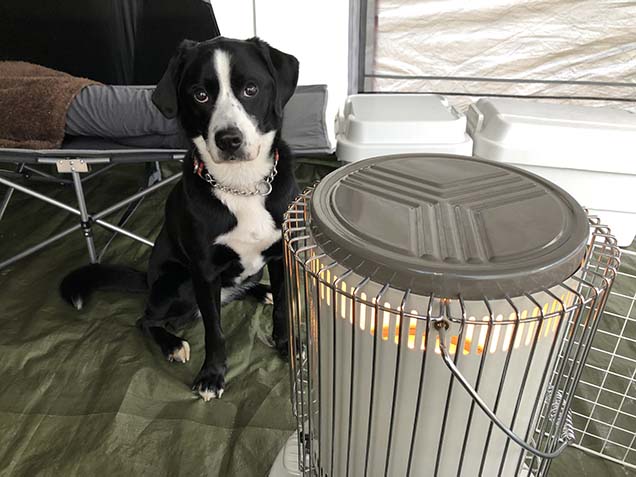 コールマン 犬用 テント
