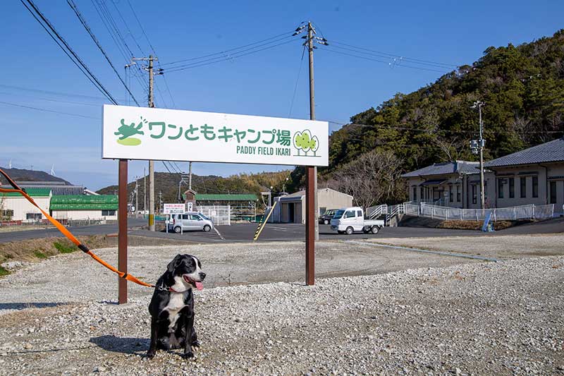 ふるさと納税 南あわじ市 【株式会社いかり】ワンともキャンプ場