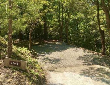 Plageforet