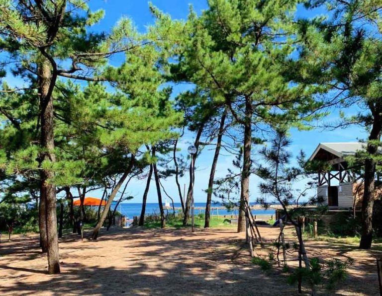 弁天浜キャンプ場