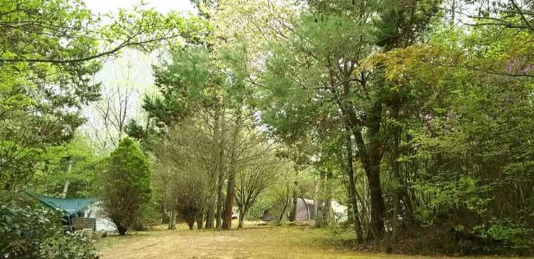 ちいさな森キャンプ村