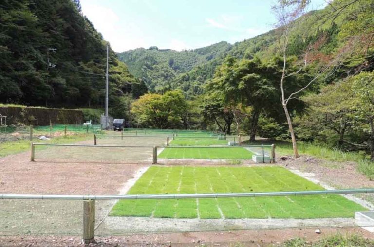 かわらびオートキャンプ場