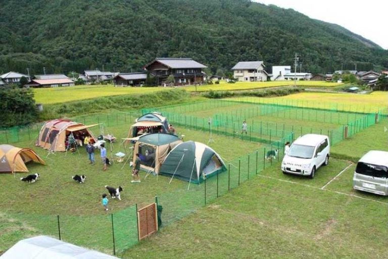 星降るWAN-WAキャンプ場