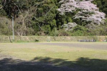 グリーンヴィレッジ川根