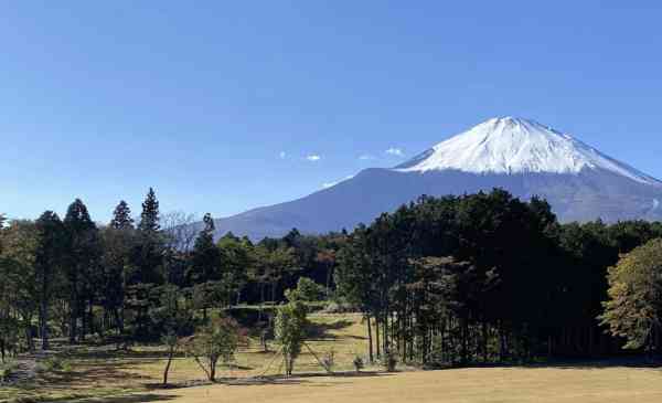 高嶺の森のキャンプ場