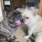 ユーザ画像