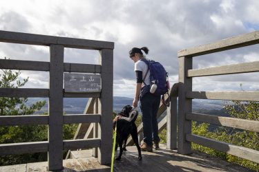 ワンちゃんと行ける！山城町森林公園で愛犬とハイキングしてきた