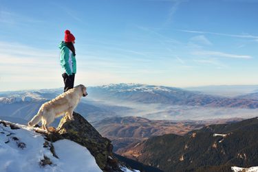 愛犬と一緒に登山に行きたい！注意点や必要なものをご紹介！