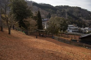 【BlessDogOasis】大阪の山々に囲まれた完全貸切ドッグラン！