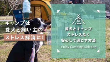 愛犬と一緒のキャンプでもストレスなく安心して過ごす方法！愛犬も飼い主も快適に！
