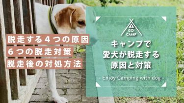 愛犬がキャンプで脱走する４つの原因と必要な対策！脱走した時の対処法も