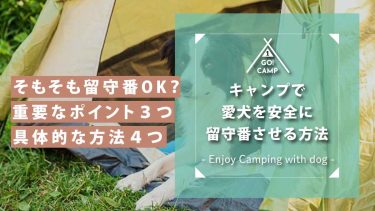 キャンプで愛犬を安全に留守番させる方法！便利グッズもご紹介！