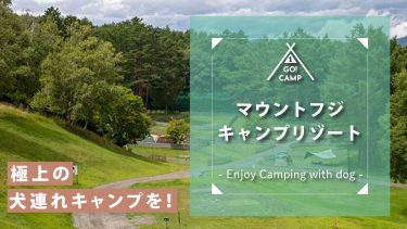 【マウントフジキャンプリゾート】で極上の犬連れキャンプ！山梨県鳴沢