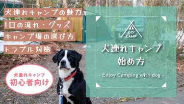 【犬連れキャンプ初心者向け】犬連れキャンプの始め方から魅力、グッズ、キャンプ場選びのコツ、トラブル対策まで１から解説