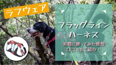 【ラフウェアのフラッグラインハーネス】口コミをブログでご紹介。撥水・ハンドル付きでアウトドアにオススメ